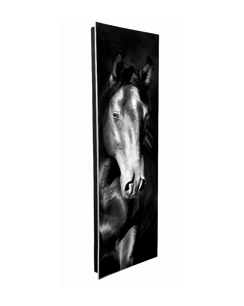 PRINT Designer Radiator